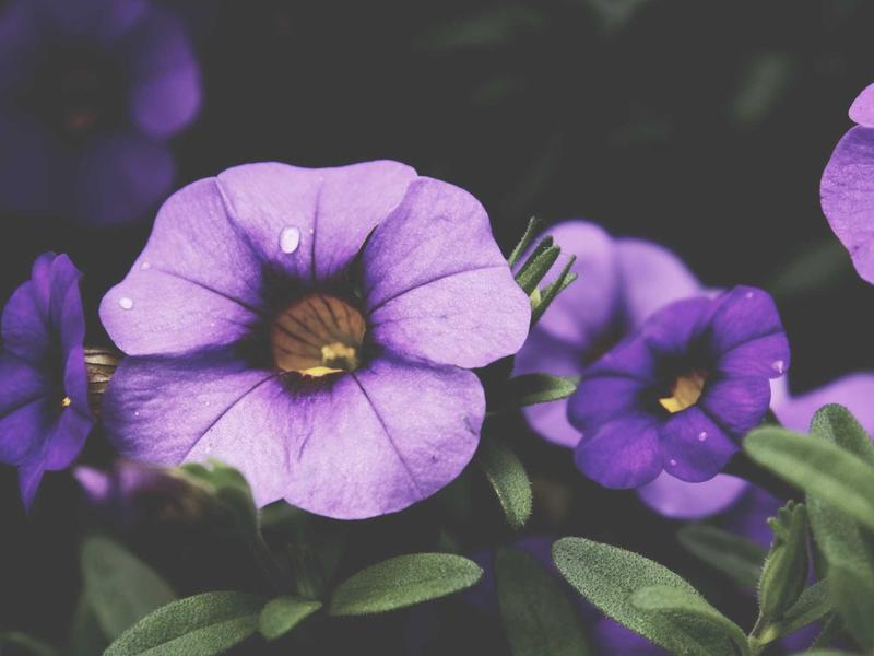 sudoku sound effects screenshot 4