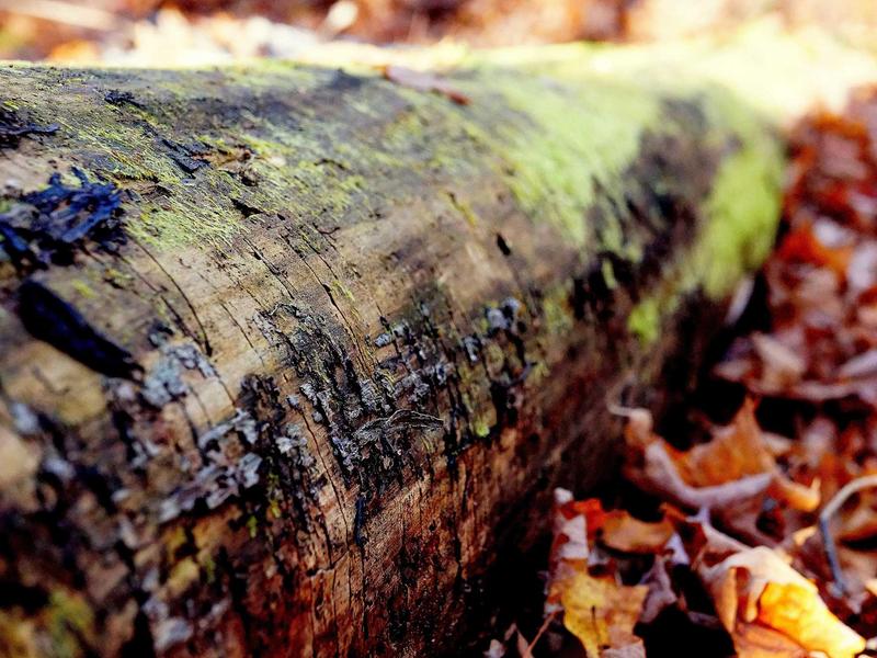 sudoku problem solving screenshot 6